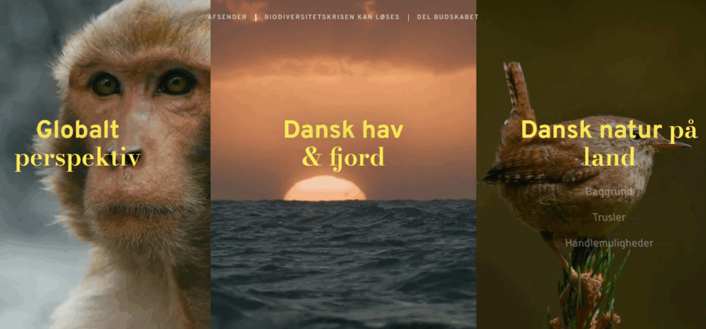 New Website on the Biodiversity Crisis