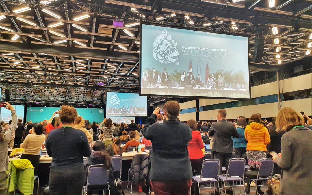 Implementation of the COP15 biodiversity targets is now beginning