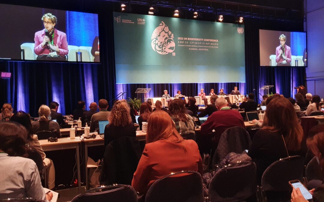 COP15: Political Stalemate and Positive Developments for Nature