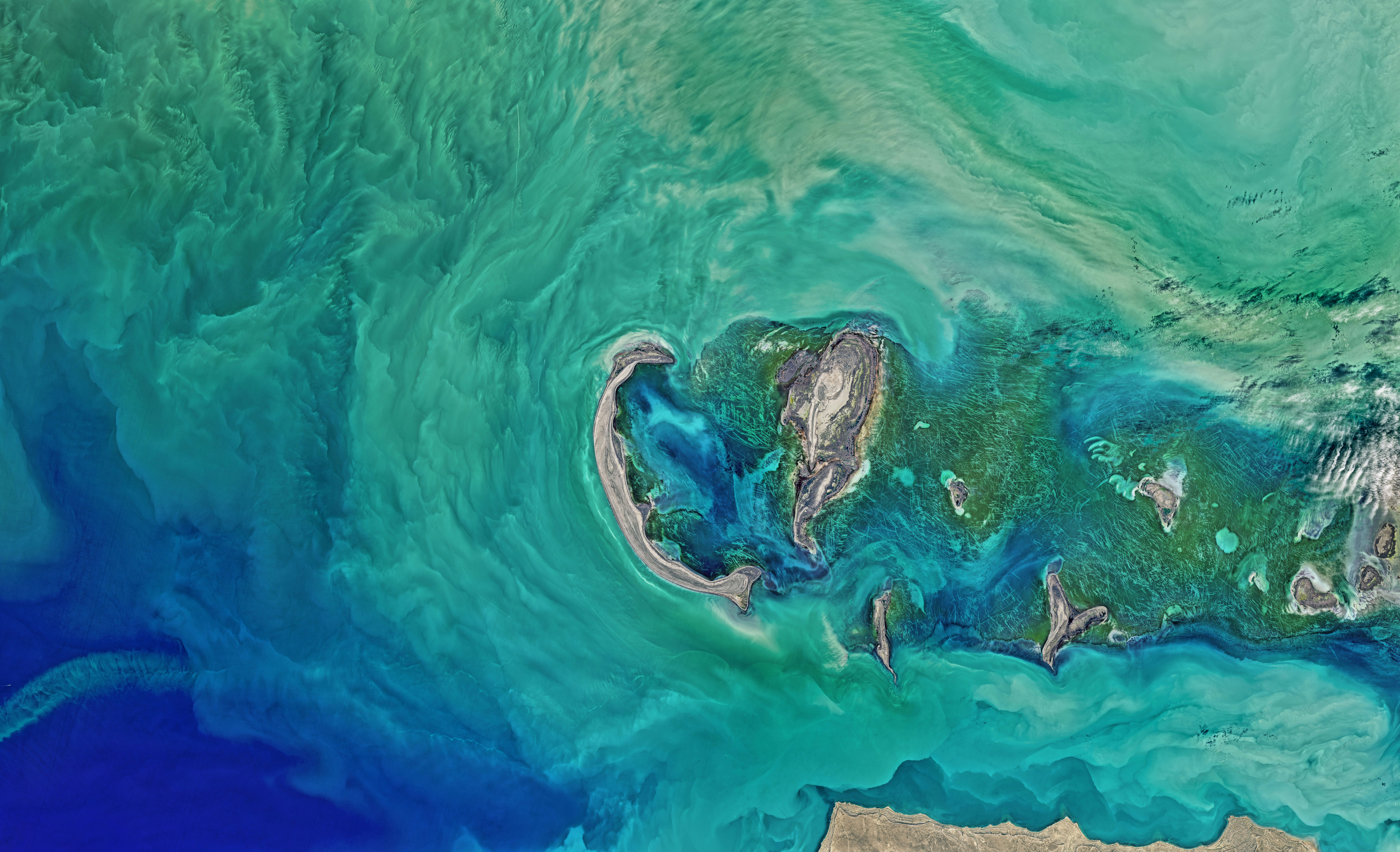 IPBES Receives Prestigious Award IPBES Receives Prestigious Award