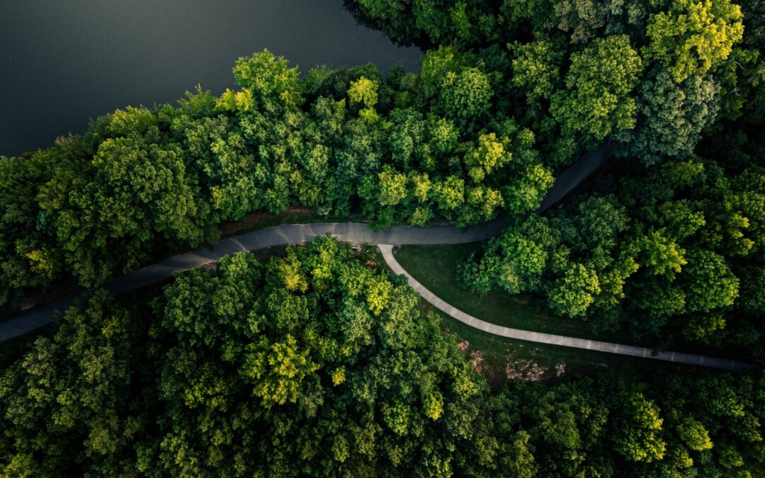 Forskningsudbud: Biodiversitet og transformativ forandring