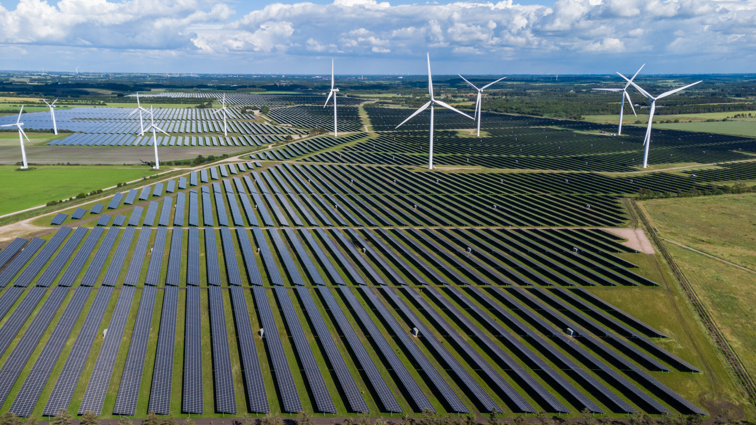 The 2024 Climate People’s Assembly: Denmark’s Future Land Use