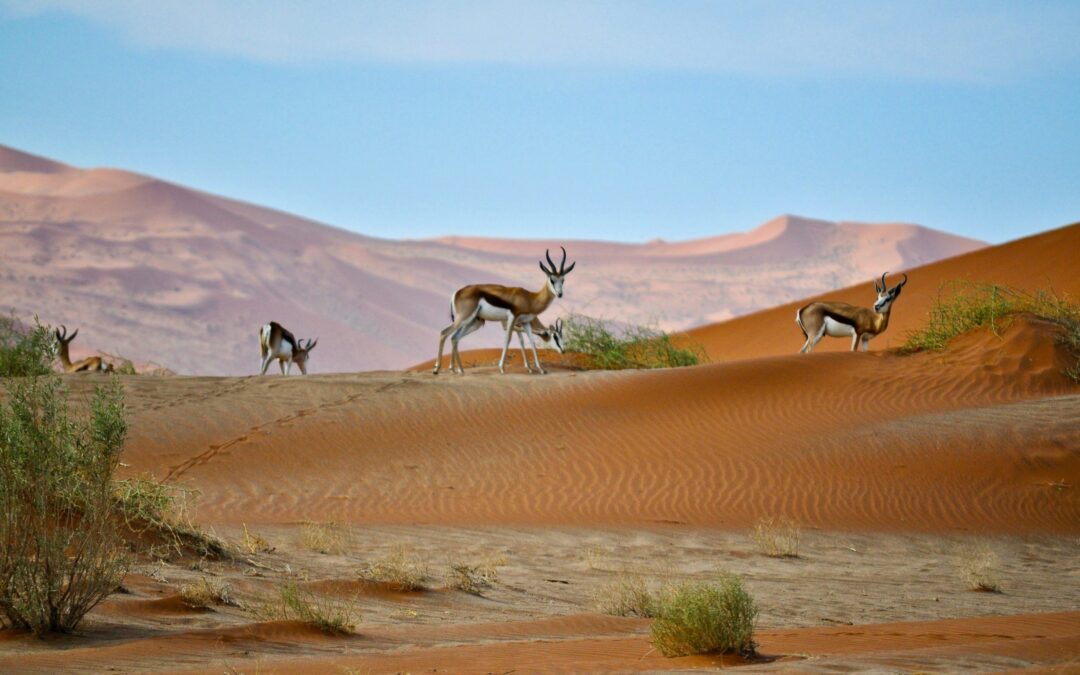 Two Landmark Reports on the Table: Understanding and Addressing the Biodiversity Crisis