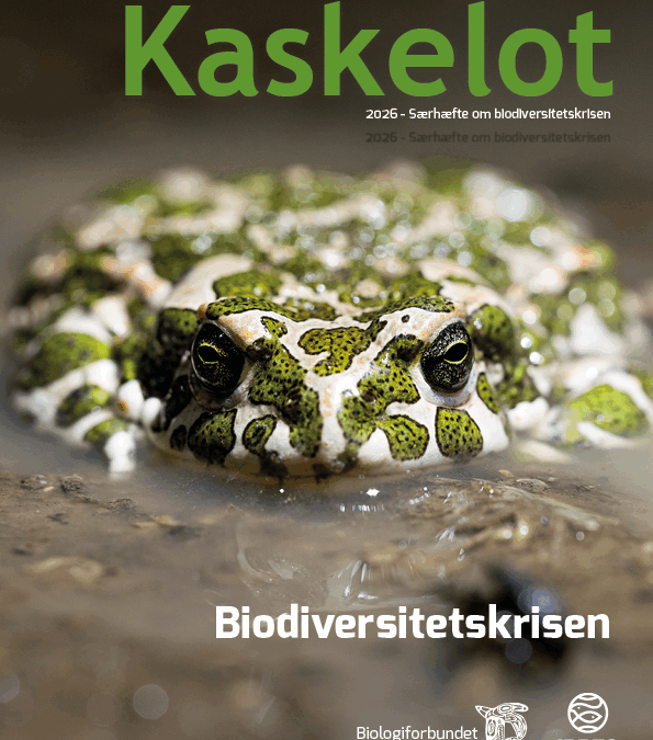 Kaskelot Særnummer 2026: Dette temanummer af Kaskelot belyser biodiversitetskrisen fra 14 forskelligevinkler