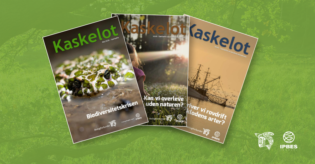 14 new articles on the biodiversity crisis equip students in grades 7–9 to understand and take action on the crisis