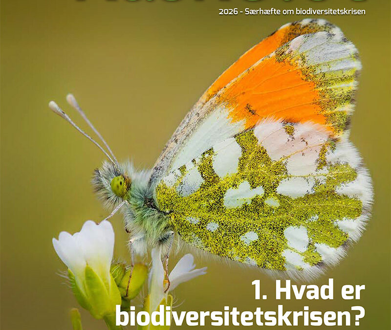 1-Artikel Kaskelot Særnummer: Hvad er biodiversitetskrisen?