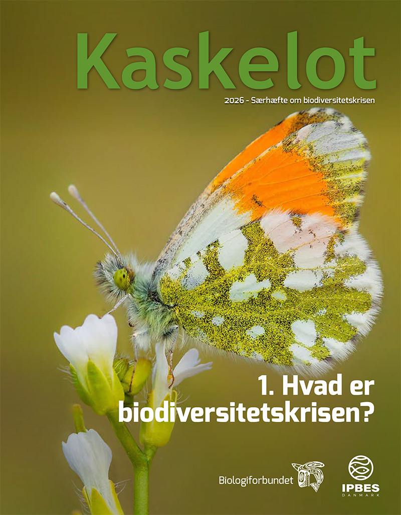 1-Artikel Kaskelot Særnummer: Hvad er biodiversitetskrisen?