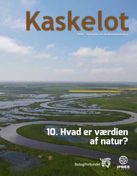 10-Artikel Kaskelot Særnummer: Hvad er værdien af natur?