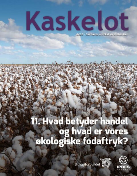 11-Artikel Kaskelot Særnummer: Hvad betyder handel og hvad er vores økologiske fodaftryk?