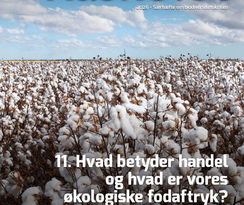 11-Artikel Kaskelot Særnummer: Hvad betyder handel og hvad er vores økologiske fodaftryk?