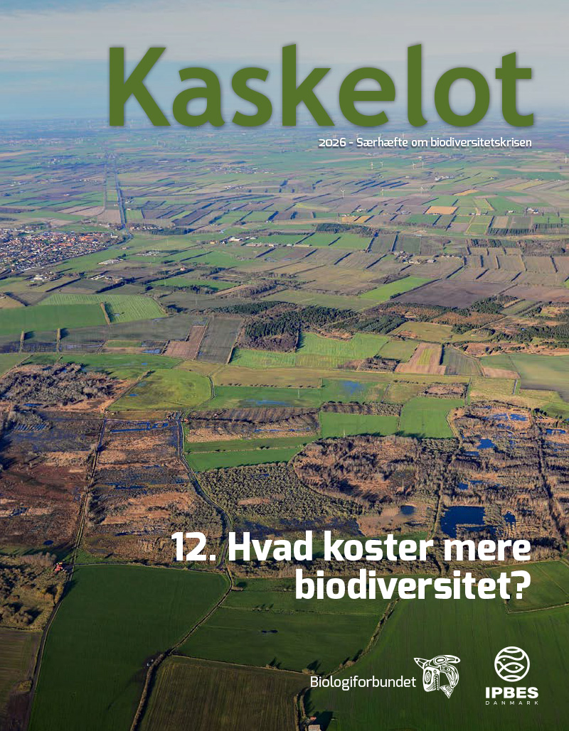 12-Artikel Kaskelot Særnummer: Hvad koster mere biodiversitet?