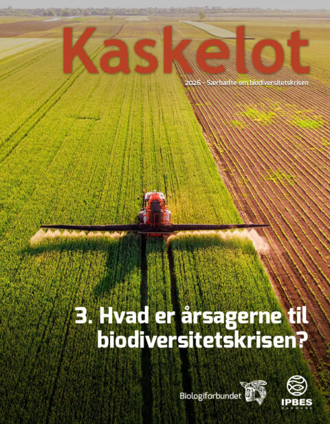 3-artikel Kaskelot Særnummer: Hvad er årsagerne til biodiversitetskrisen?