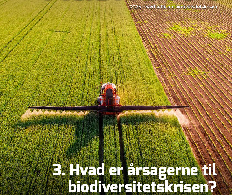 3-artikel Kaskelot Særnummer: Hvad er årsagerne til biodiversitetskrisen?