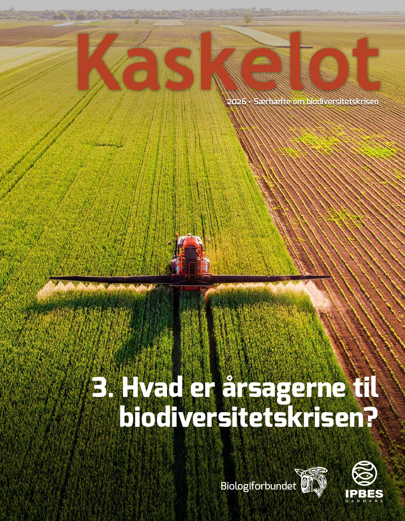 3-artikel Kaskelot Særnummer: Hvad er årsagerne til biodiversitetskrisen?