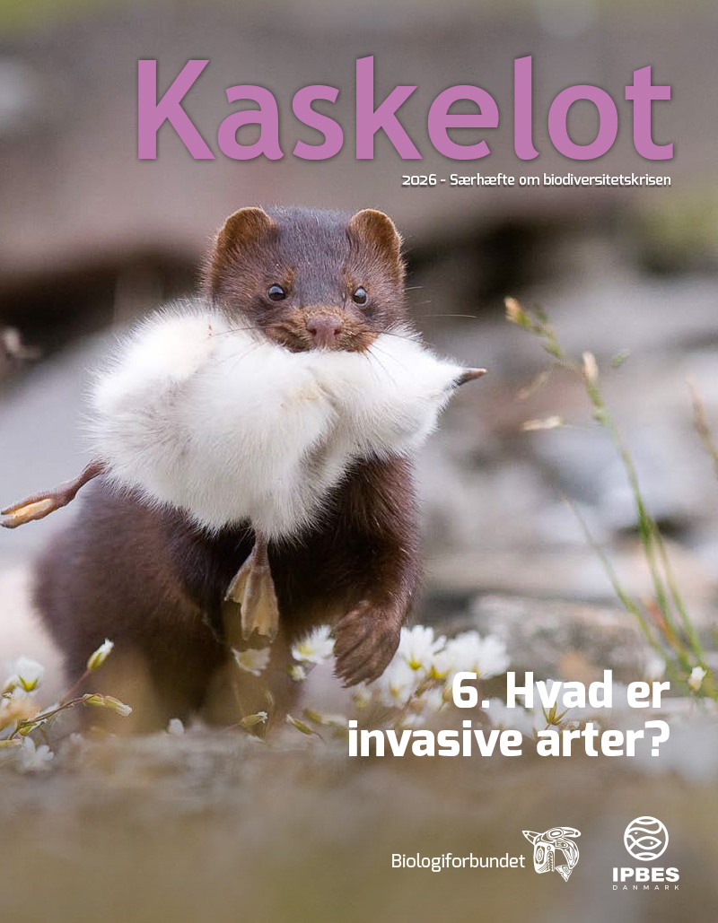 6-Artikel Kaskelot Særnummer: Hvad er invasive arter?