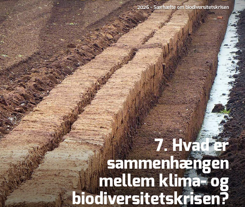 7-Artikel Kaskelot Særnummer: Hvad er sammenhængen mellem klima- og biodiversitetskrisen?