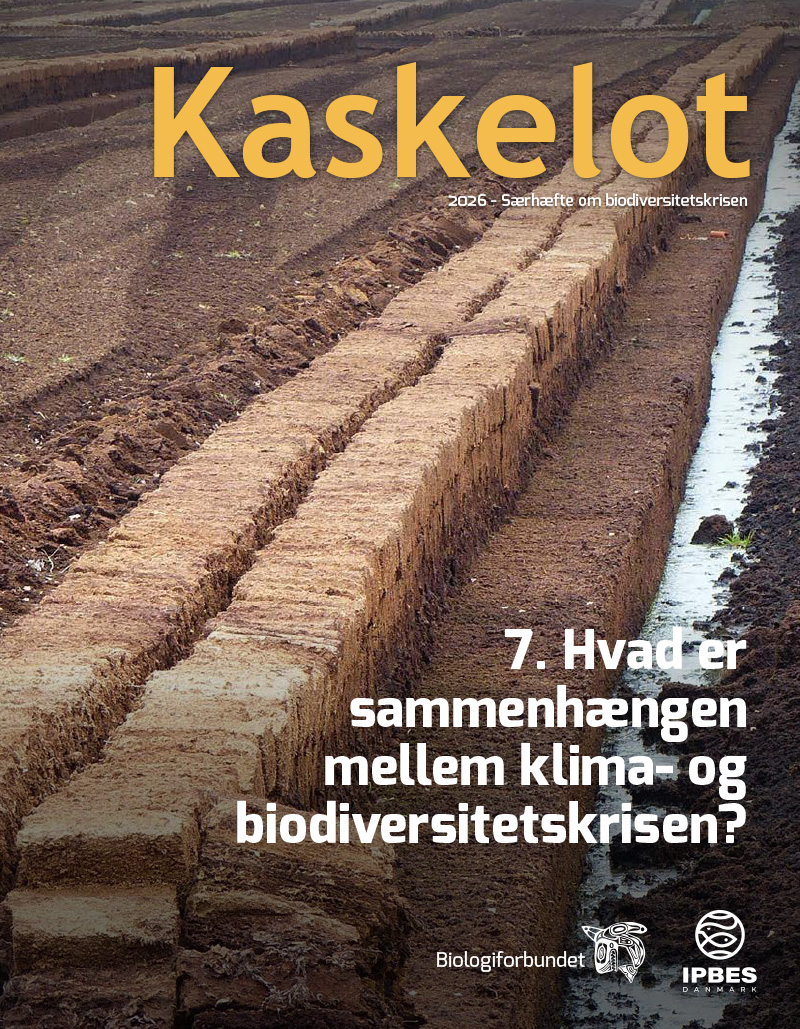 7-Artikel Kaskelot Særnummer: Hvad er sammenhængen mellem klima- og biodiversitetskrisen?