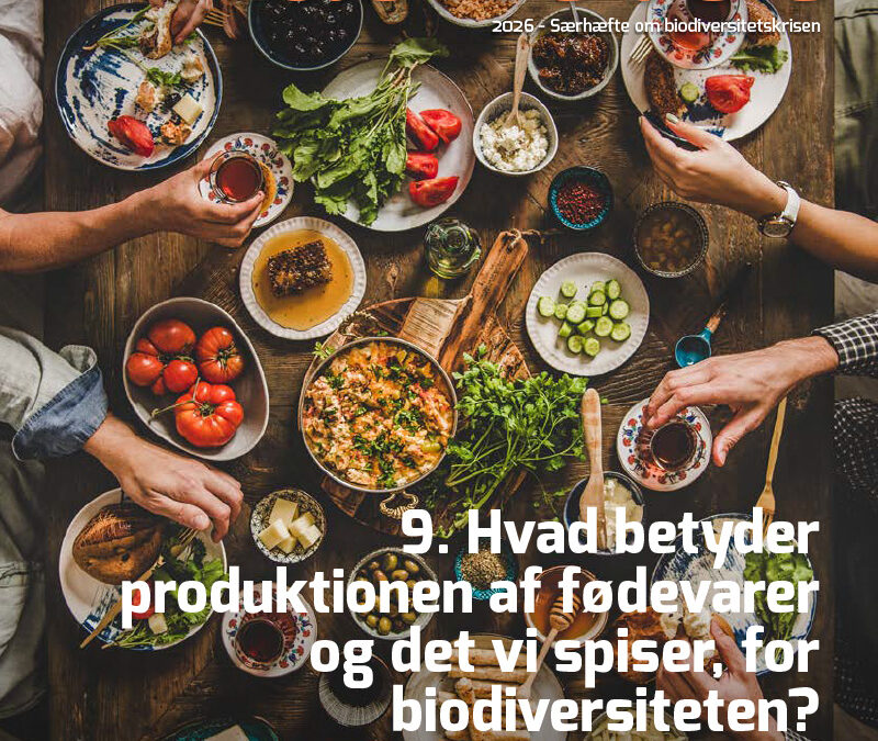 9-Artikel Kaskelot Særnummer: Hvad betyder produktionen af fødevarer og det vi spiser, for biodiversiteten??