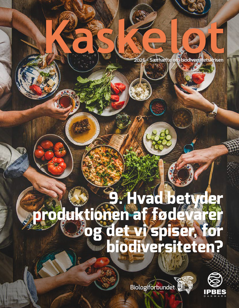 9-Artikel Kaskelot Særnummer: Hvad betyder produktionen af fødevarer og det vi spiser, for biodiversiteten??