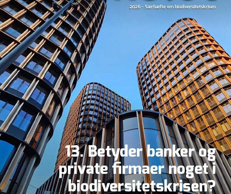 13-Artikel Kaskelot Særnummer: Betyder banker og private firmaer noget i biodiversitetskrisen?