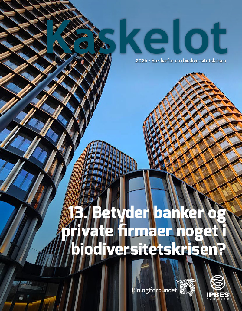 13-Artikel Kaskelot Særnummer: Betyder banker og private firmaer noget i biodiversitetskrisen?